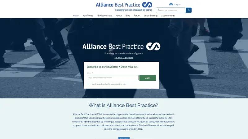 Alliance Best Practice - Partner ecosystem company screenshot