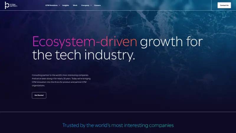 Bridge Partners - Partner ecosystem company screenshot