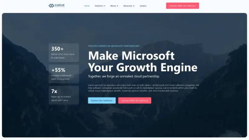 Carve Partners - Partner ecosystem company screenshot