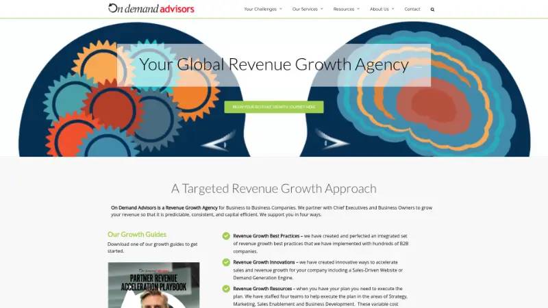 On Demand Advisors - Partner ecosystem company screenshot