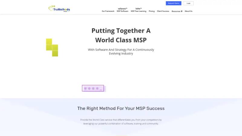 TruMethods Peer - Partner ecosystem company screenshot